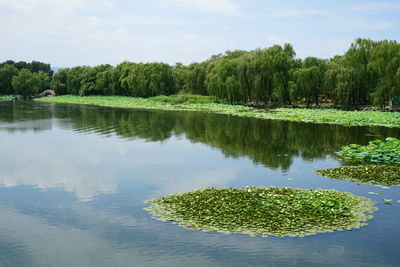 Scenic view of lake against sky