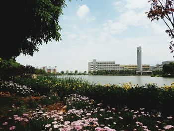 Scenic view of park by buildings against sky