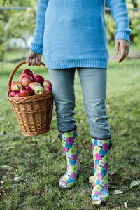 Low section of woman holding wicker basket with apples on grassy field