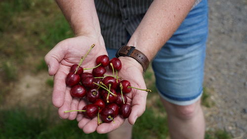 Midsection of man holding red berries