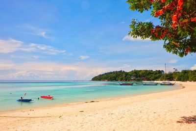 Scenic view of beach against sky