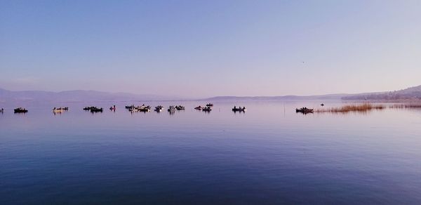 Scenic view of lake against clear sky