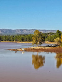 Scenic view of lake against clear blue sky