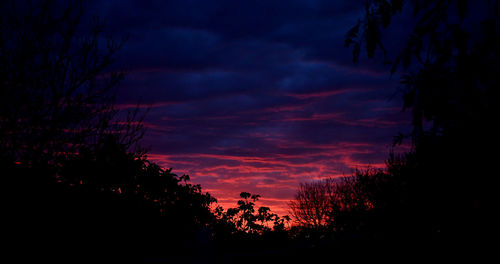 Low angle view of silhouette trees against dramatic sky