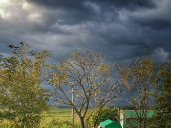 Low angle view of trees against cloudy sky