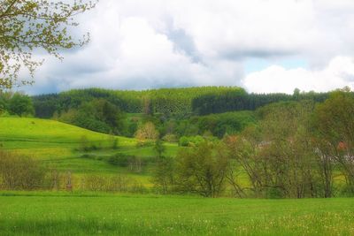 Scenic view of green landscape against cloudy sky