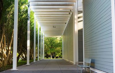 Corridor along trees