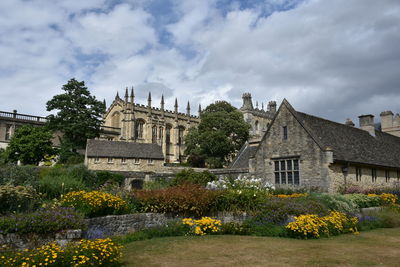 Flowering plants and buildings against sky