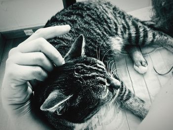 Close-up of cropped hands