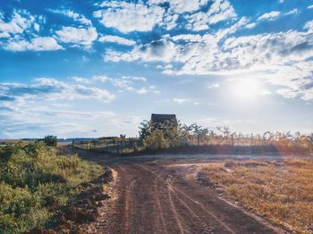 Dirt road amidst trees against sky