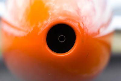 Close-up of orange face