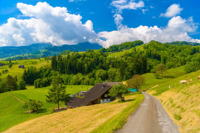 Road amidst trees and landscape against sky