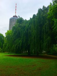 Trees growing on field against sky