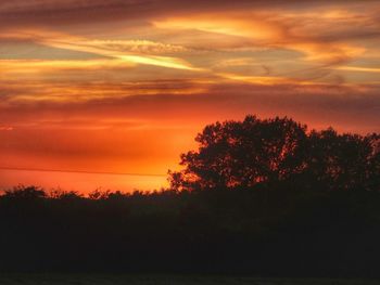 Silhouette trees at sunset