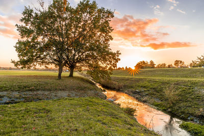 Scenic view of landscape