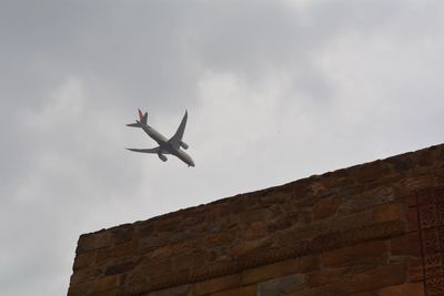 Low angle view of bird flying against sky