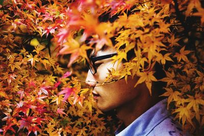 Close-up of man by maple leaves