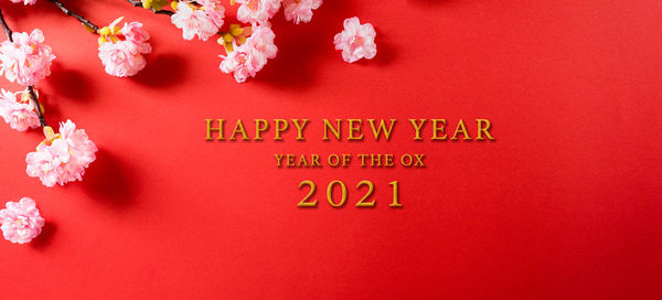 Close-up of text on red wall