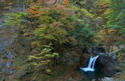 Waterfall in forest