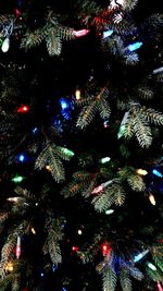 Low angle view of illuminated christmas tree at night