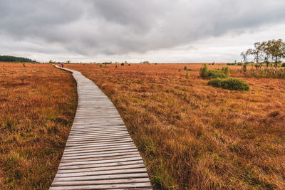 Landscape in the high fens nature park in the eifel, belgium. hike in the nature park.