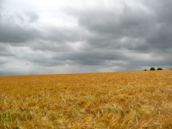 Scenic view of field against storm clouds