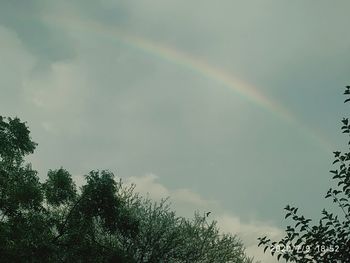 Low angle view of rainbow over trees against sky