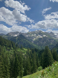 Scenic view of forest against sky