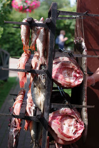 Close-up of meat on barbecue grill