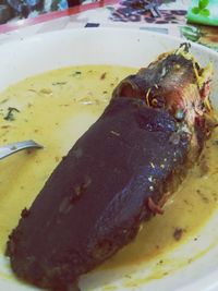 Close-up of food served in plate