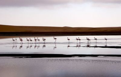 People walking by lake against sky