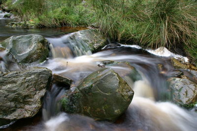 Scenic view of waterfall in forest