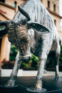 Close-up of statue against fountain