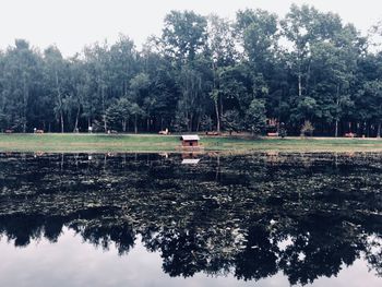 Scenic view of lake against trees