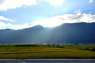 Scenic view of agricultural field and mountains against sky