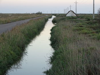 Narrow stream along trees on grassy field