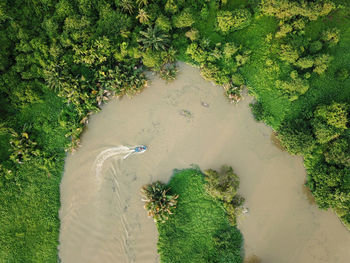 High angle view of birds on land