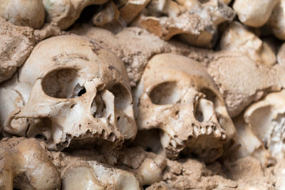 Full frame shot of human skulls