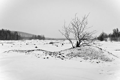 Bare tree on snow covered landscape against clear sky