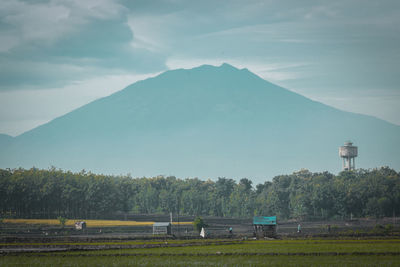 Scenic view of field against sky