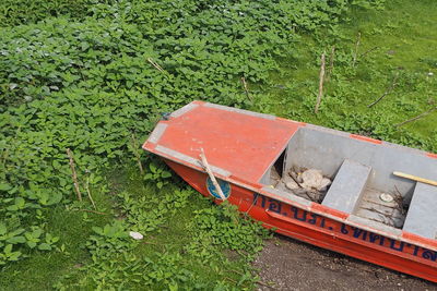 High angle view of grass