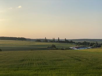 Scenic view of agricultural field against sky during sunset