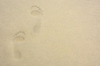High angle view of footprints on sand