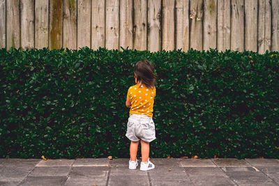 Rear view of girl standing against plants