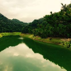 Reflection of trees in lake