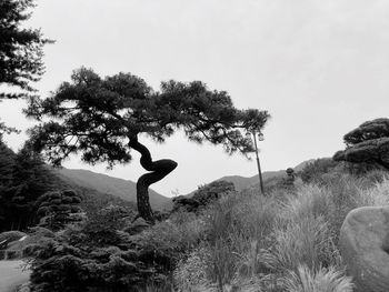 Man on field against sky