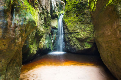 Scenic view of waterfall in forest