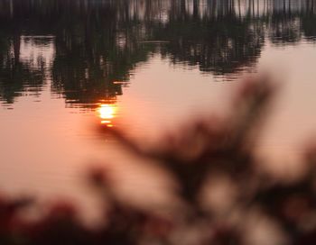 Scenic view of lake at sunset