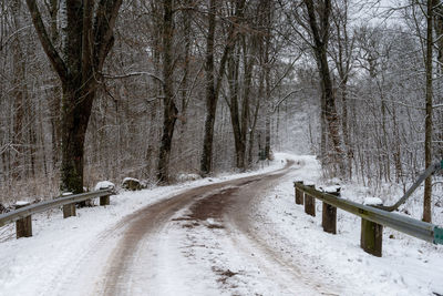 Snow covered road amidst trees during winter