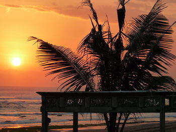 Silhouette palm tree by sea against sky during sunset